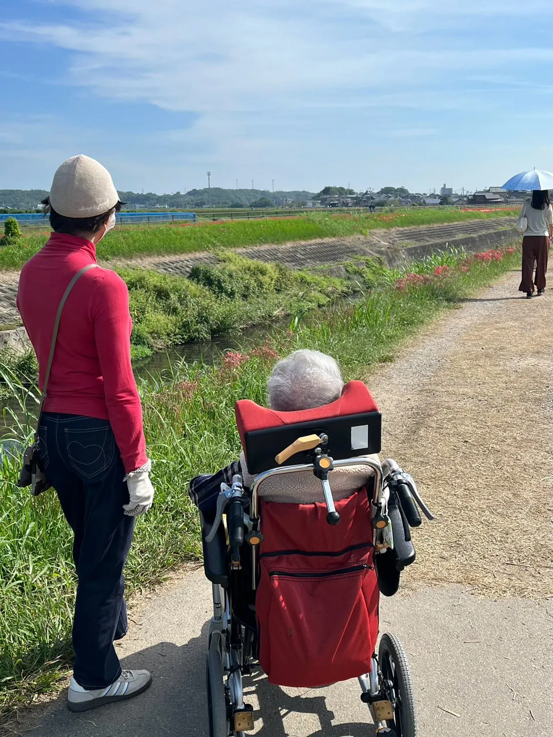 この時期になると、半田市の新美南吉記念館の近くを流れる矢勝川...